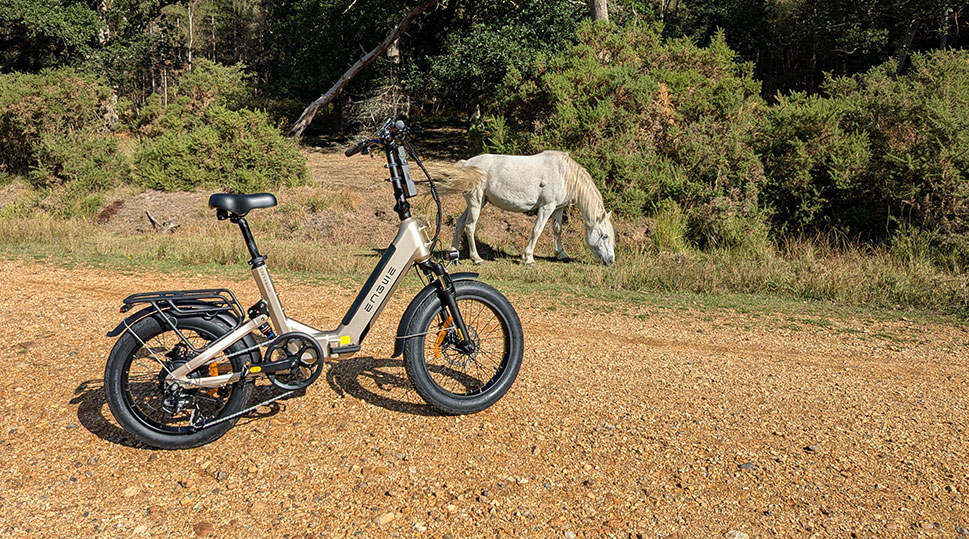 blog-image-placeholder Electric bike with New Forest pony