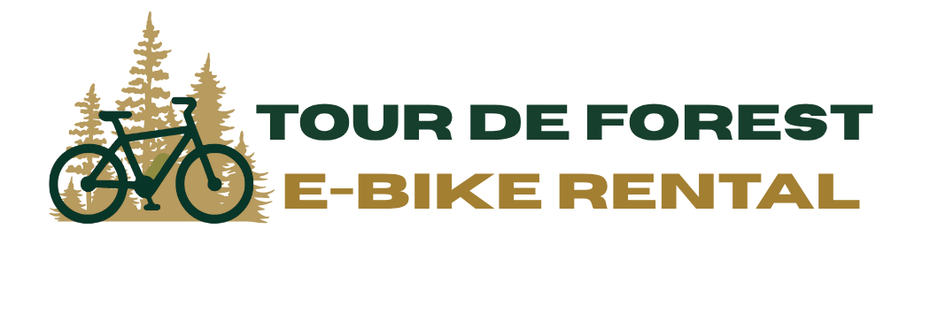 Tour De Forest - Electronic bike rental in the New Forest