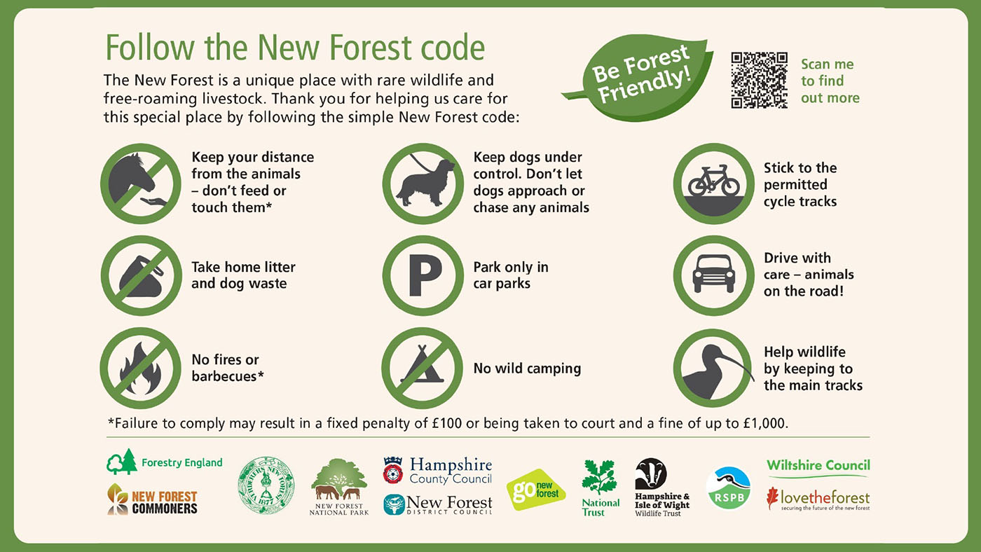 New Forest Code