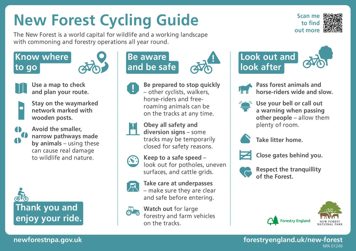 New Forest Cycle Guide